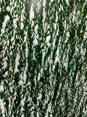 L'usine obscure décorative du revêtement 19mm de mur feuilleté le verre