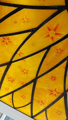 Le plafond 12mm Scratchproof orange a coloré les panneaux en verre