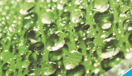 verre de nettoyage d'individu de 2mm