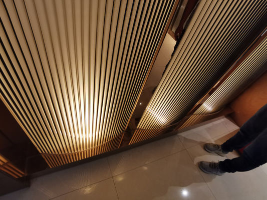 Verre 1sqm fondu décoratif rétro-éclairé dimensionnel de la cabine 3